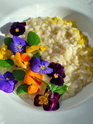 Lemon Risotto / sitruunarisotto